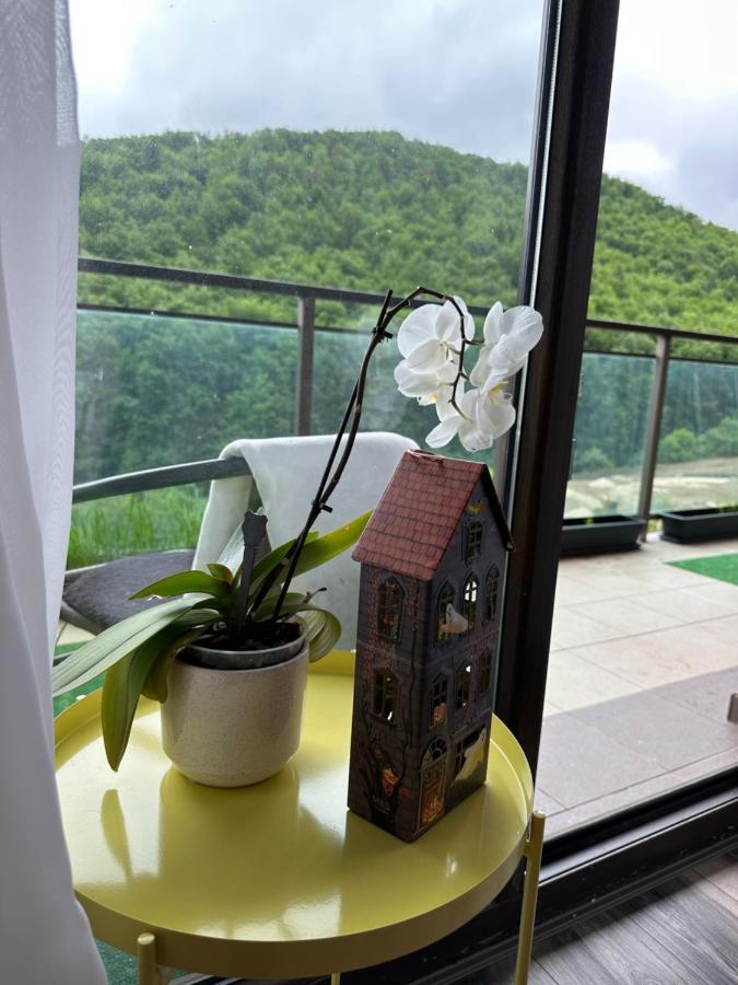 Silvelen Mountain View Apartment Брашов Экстерьер фото