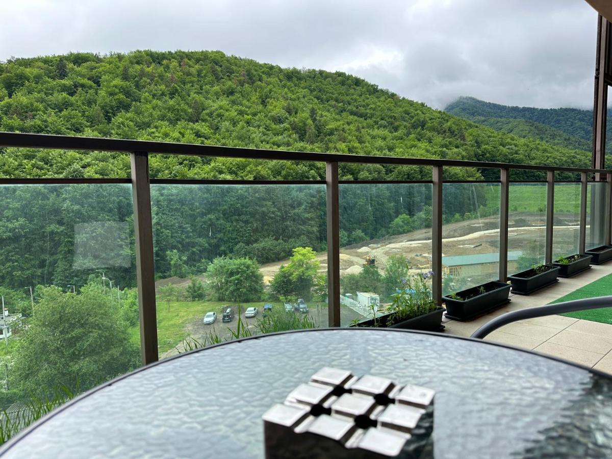 Silvelen Mountain View Apartment Брашов Экстерьер фото